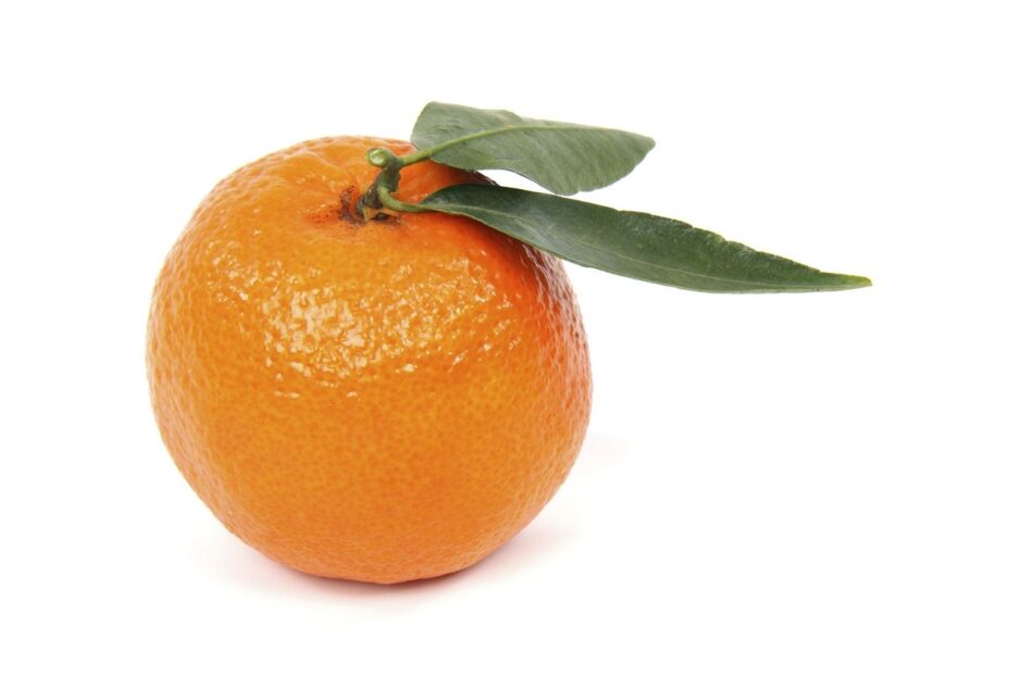 Free orange image