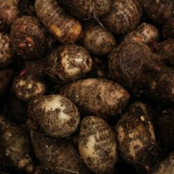 how to include yams in our diet & it's benefits.