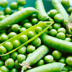 Green Peas Are Amazing Super Healthy And Delicious