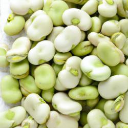 the real nutritive world of fava beans