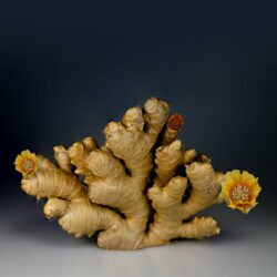 Amazing Ginger Health Benefits