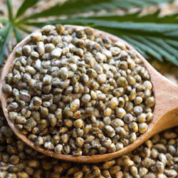 all about hemp seeds nutritional value, recipes & more