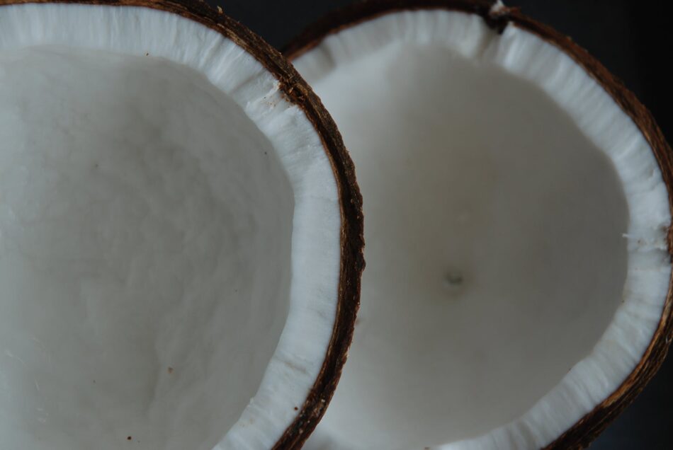 close up photograph of halved coconuts