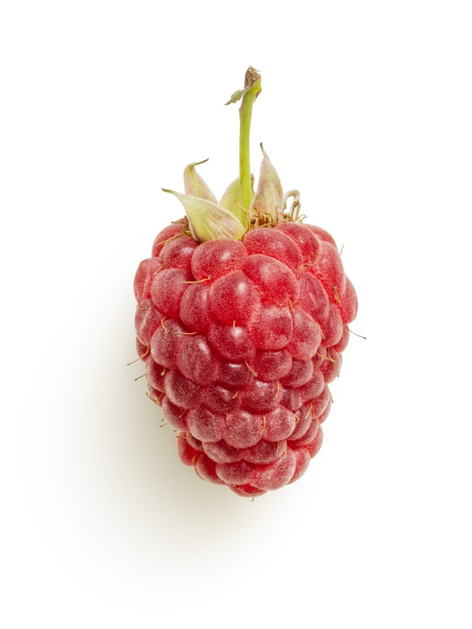 Origins of the Raspberry: A Brief History