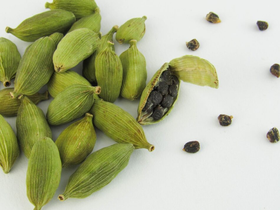 a complete guide to cardamom seeds: origins, recipes, & more