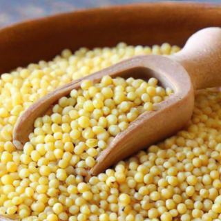 the best of millet nutritional value, growing tips & recipes