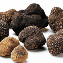 magical world of truffles