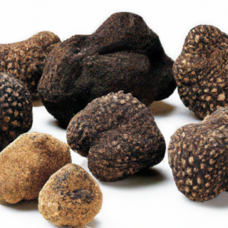 magical world of truffles