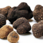 magical world of truffles