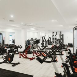 The Best Course For Building Muscles and Sculpting Abs